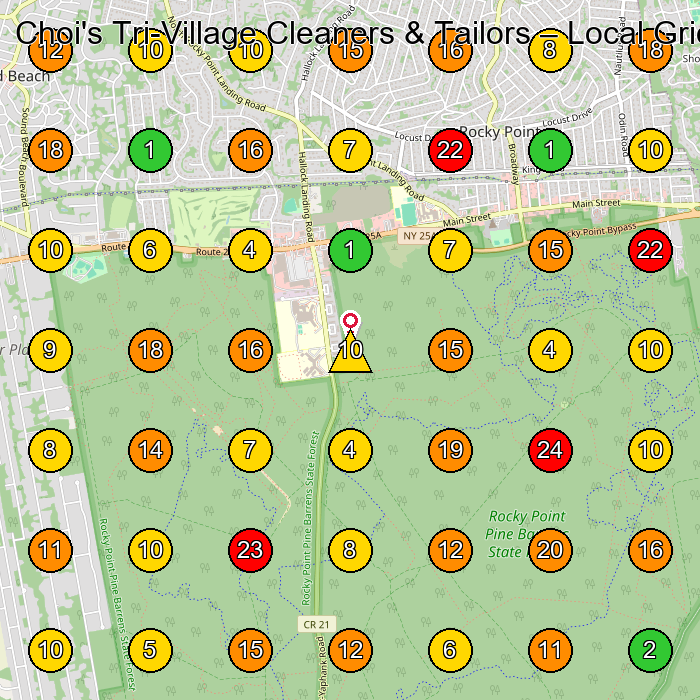 Choi's Tri-Village Cleaners & Tailors Dry Cleaner GeoGrid ranking map for Rocky Point NY